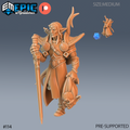 Figurine JDR Elf Paladin Character, paladin elfe en armure tenant une épée et une tête de créature, avec une petite vue arrière.