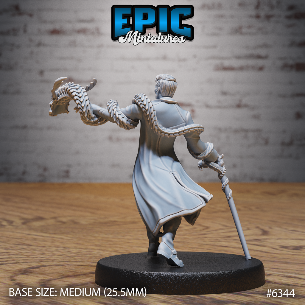 Dire Spider RPG miniature for role-playing games - Resin printed - 28mm and 32mm scale - Epic Miniature